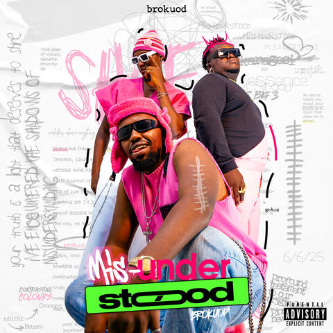 Misunderstood album art