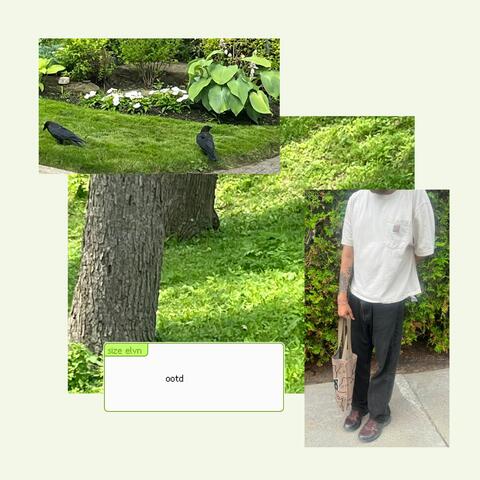 ootd album art