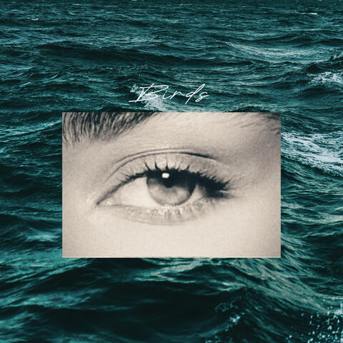 Birds album art