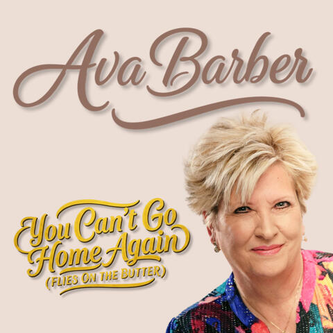 You Can't Go Home Again (Flies On The Butter) album art