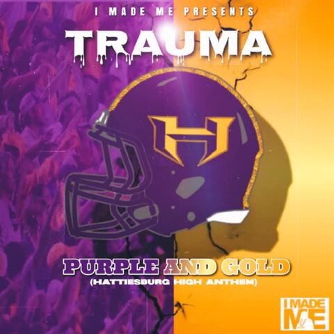 PURPLE & GOLD (Hattiesburg High Anthem) album art