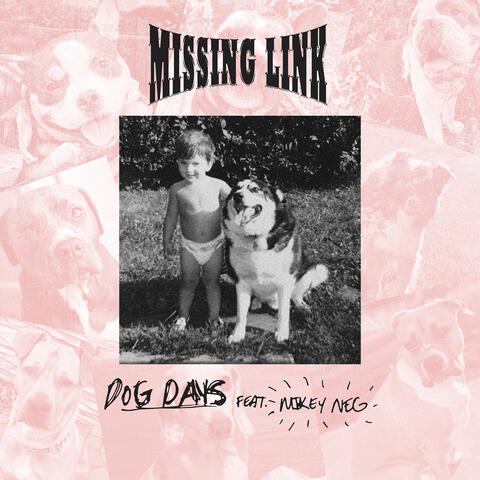 Dog Days album art