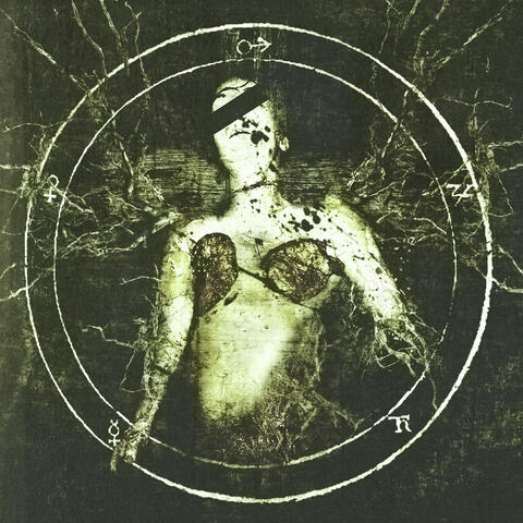 splinters album art