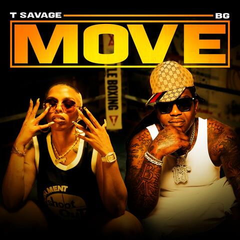 Move album art