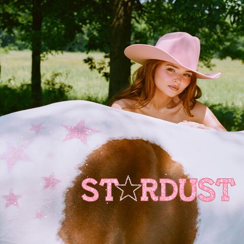 Stardust album art