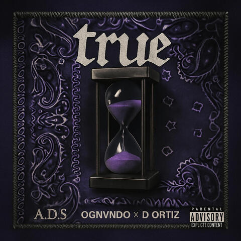 True album art
