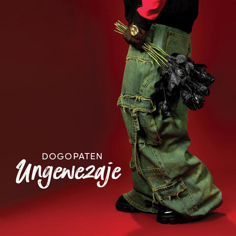 Ungewezaje album art