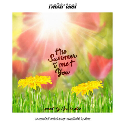 The Summer I Met You album art