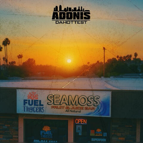 Seamoss Shop (Fuel Thy Cells) album art