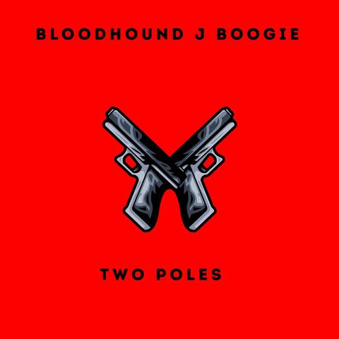 2 Poles album art