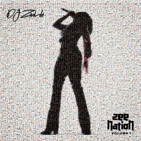 ZEE Nation Volume 1 album art