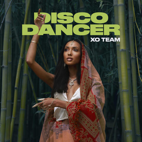 Disco Dancer album art