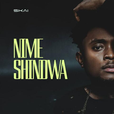 Nimeshindwa album art