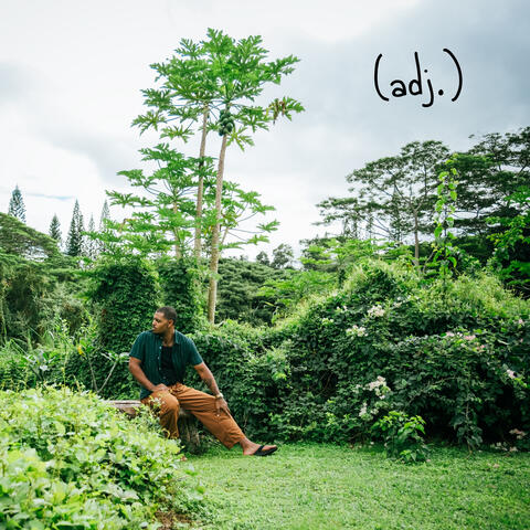 (adj.) album art