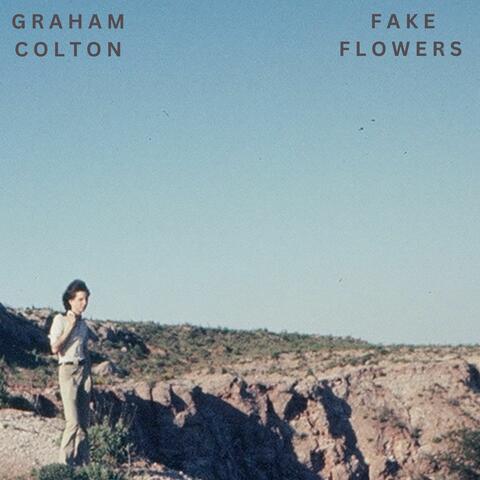 Fake Flowers album art