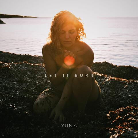 Let It Burn album art