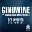 Get Involved (feat. Timbaland & Missy Elliott) [The Remixes] album artwork