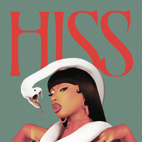HISS (DJ Edit) album art