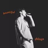 Image of Beautiful Things