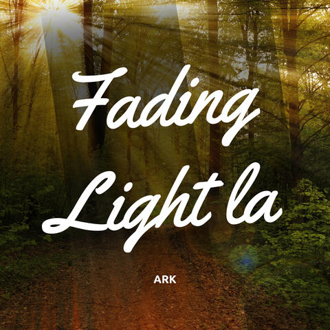 Fading Light la album art