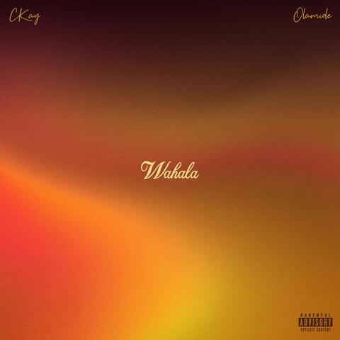 Wahala (feat. Olamide) album art