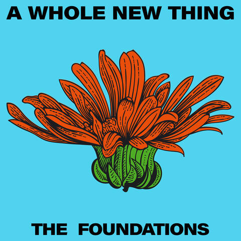 A Whole New Thing album art