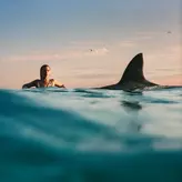 Image of Radical Optimism
