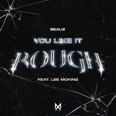 You Like It Rough (feat. Lee McKing) album art