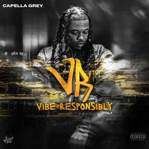 Vibe Responsibly, Vol. 1 album art