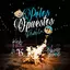 POLOS OPUESTOS REMIX album artwork
