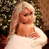 Image of Dear Big Santa