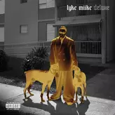 Image of LYKE MIIKE
