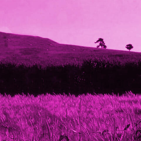 SAMVALENTIN album art