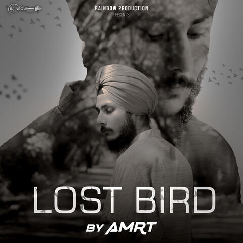 Lost Bird album art