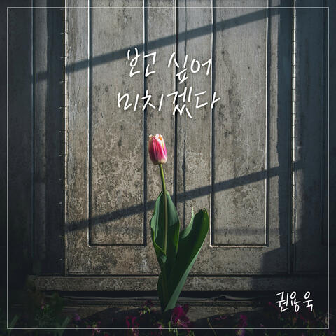 I'm going crazy missing you album art