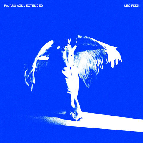 PÁJARO AZUL EXTENDED ˚₊‧꒰ა ☆ ໒꒱ ‧₊˚ album art