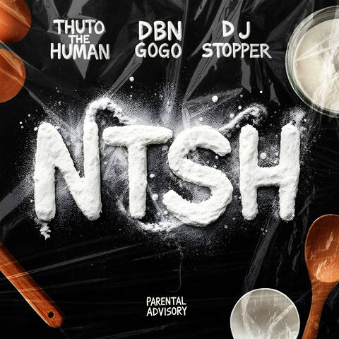NTSH album art