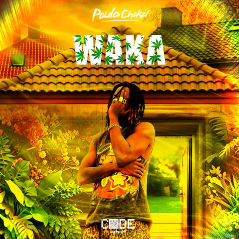 Waka album art