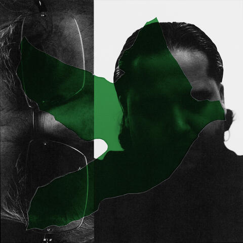 Vårsøg album art