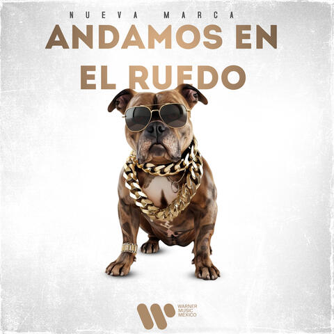 Andamos En El Ruedo album art