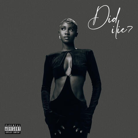 DID I LIE album art
