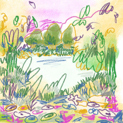 Blueberry Tree album art
