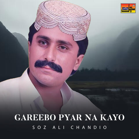 Gareebo Pyar Na Kayo album art