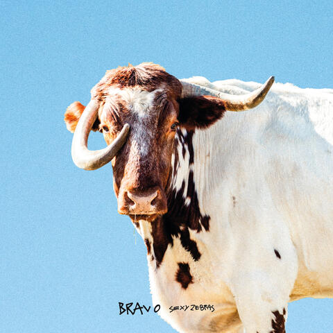 Bravo album art