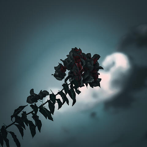 Idea 12 album art