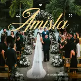 Image of AMISTA
