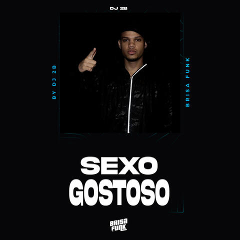 SEXO GOSTOSO album art