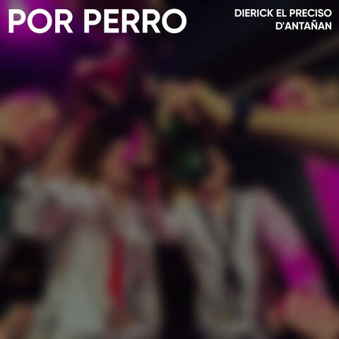 X-Perro album art