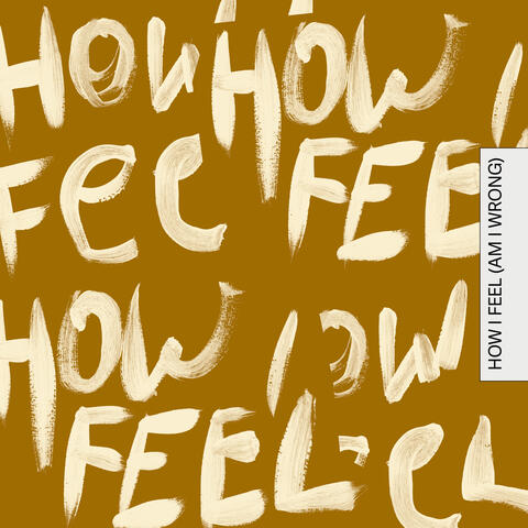 How I Feel (Am I Wrong) album art