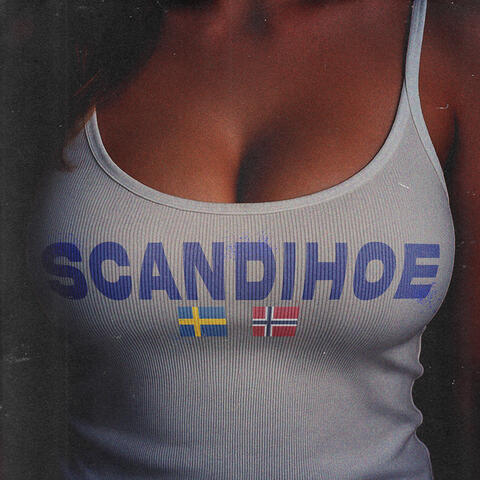 SCANDIHOE (feat. Krobbe) album art